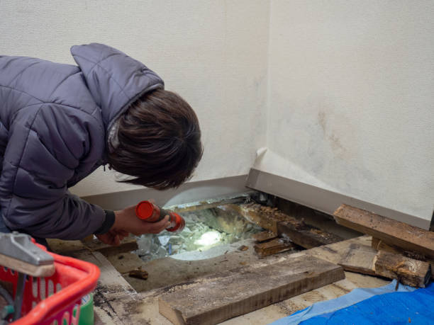 Best Comprehensive Air Testing for Mold Contaminants  in Solomon, KS