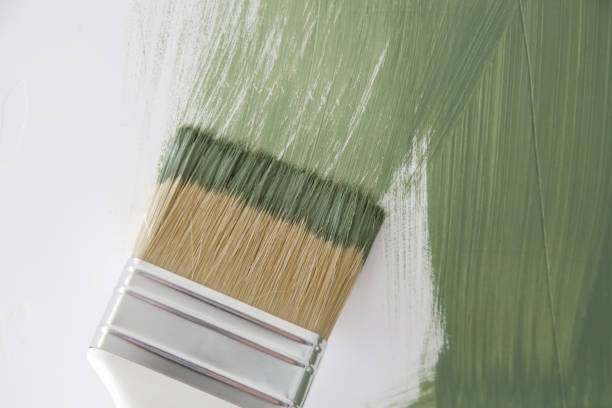 Best Commercial Mold Inspection  in Solomon, KS