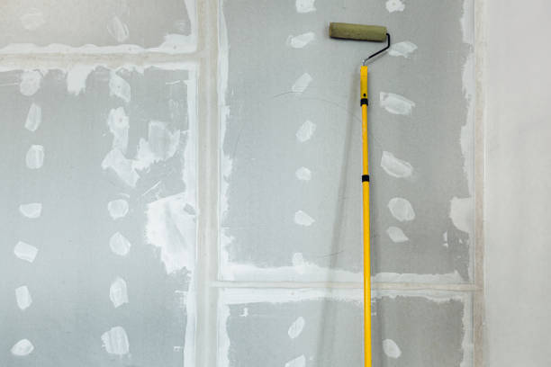 Best Asbestos and Lead Testing During Mold Inspection  in Solomon, KS
