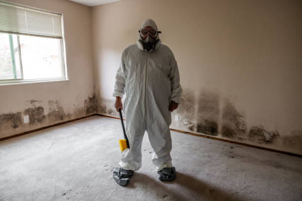 Biohazard Mold Removal in Solomon, KS
