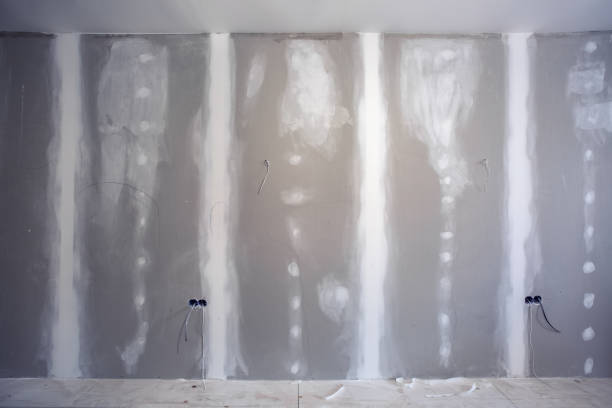 Best Mold Remediation for Healthcare Facilities  in Solomon, KS